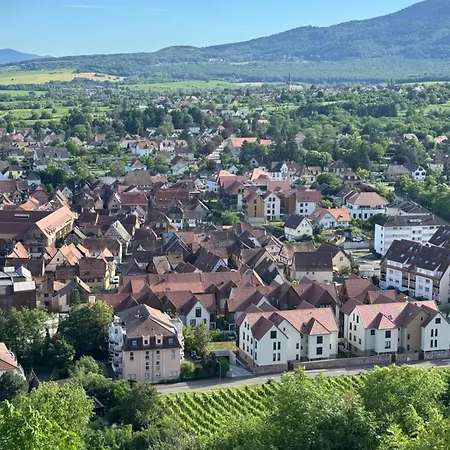 House In Obernai